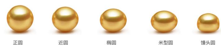 淡水珍珠形態